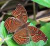 131122 – Photo : Pelouard – Mayotte