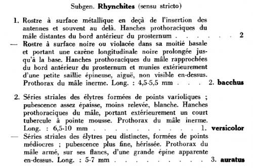 Rhynchites divers
