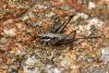 132044 – Photo : Vincent Derreumaux – France (20)