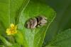 132408 – Photo : D. Martinez – Philippines