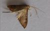 132029 – Photo : Jc.grandmaire – France (83)