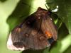 132056 – Photo : Christian Widmann – Brésil