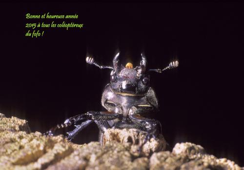 Indéterminé