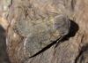 133051 – Photo : Eric SYLVESTRE – Andorre