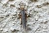 133091 – Photo : Nicolas Alric – France (12)