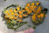 133141 – Photo : Alicia Le Guyader – France (04)