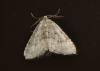 133313 – Photo : Hazel West – France (17)