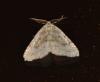 133314 – Photo : Hazel West – France (17)