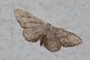 133018 – Photo : Vincent MATHEZ – France (74)