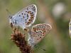 133269 – Photo : Mael Garrin – France (19)