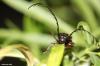 134039 – Photo : Sébastien Cally – Madagascar