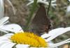 134401 – Photo : Nicolas Alric – France (12)