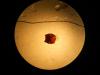 134108 – Photo : Valentin Nidergas – France (73)