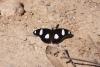 134403 – Photo : Claire Dumortier – Thaïlande