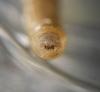 134237 – Photo : Valentin Nidergas – France (69)