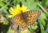 135771 – Photo : Nicolas Alric – France (05)