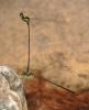135413 – Photo : David Sannier – Thaïlande
