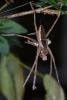 136908 – Photo : D. Martinez – Philippines