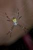 136048 – Photo : D. Martinez – Philippines