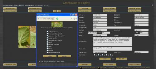 Indéterminé