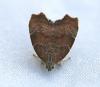 137311 – Photo : Brigitte Ulmer – France (47)