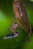 137007 – Photo : D. Martinez – Philippines