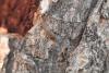137980 – Photo : clovis – Grèce
