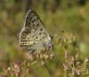 137927 – Photo : clovis – Croatie