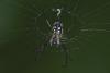 137227 – Photo : D. Martinez – Philippines