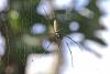 137904 – Photo : D. Martinez – Philippines