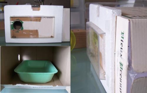 Carton mycophages
