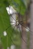 138542 – Photo : D. Martinez – Philippines