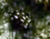 138850 – Photo : Dominique Latour – Belgique