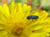 138656 – Photo : Sylvain Fadda – France (13)