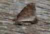 138890 – Photo : Michel Ehrhardt – France (68)