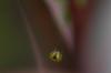 139121 – Photo : Roland Bettinelli – France (69)