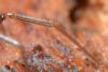 139239 – Photo : Christophe Quintin – France (21)