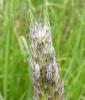 139761 – Photo : Bejac – France (63)