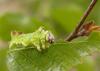 139910 – Photo : Maria Justamond – Royaume-Uni