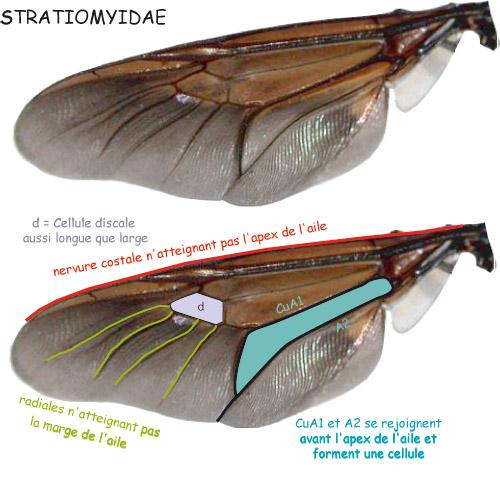 Indéterminé