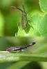 14105 – Photo : Franck Buron – France (02)