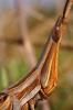 14109 – Photo : basc – France (20)