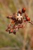 14115 – Photo : basc – France (20)