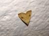 14246 – Photo : Arnaud Jean-Pierre – France (09)
