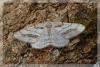 14070 – Photo : David Demerges – France (07)