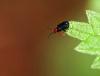 14138 – Photo : Daniel Pollen – Suisse