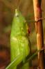 14056 – Photo : basc – France (20)