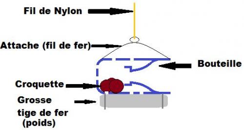 Piege aquatique