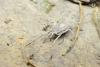 140440 – Photo : Nicolas Alric – France (12)