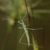 140668 – Photo : Vincent Derreumaux – France (84)